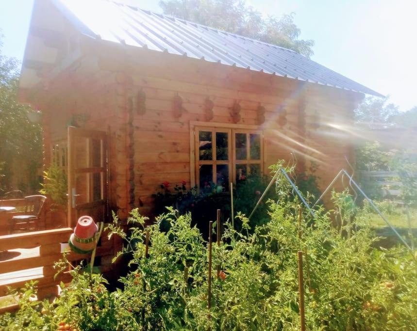 Agreable Chalet En Bois Et Son Exterieur Massay Exterior foto